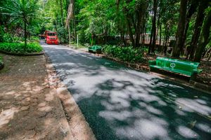 Bosque Zoológico Fábio Barreto recebe obra para implantação de asfalto novo