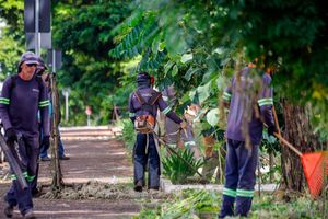 Infraestrutura começa a limpeza da avenida Nove de Julho
