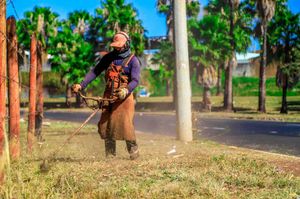 Infraestrutura realiza ações de zeladoria por toda cidade