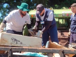 Mutirão recolhe mais de 2,5 toneladas de possíveis criadouros do mosquito da dengue