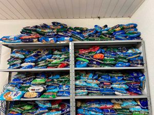 Fundo Social de Solidariedade arrecada alimentos no Bloco Califórnia 2024