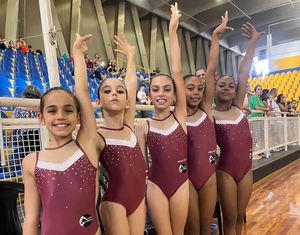 Equipe de Ribeirão disputou a Copa Estadual de Ginástica Artística