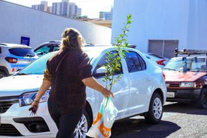 Horto Municipal realiza doação de mudas no “Vem pra Nove Cultural”