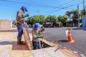 Infraestrutura realiza a limpeza de mais de 14 mil bocas de lobo