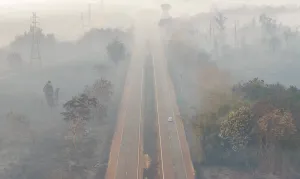 Defesa Civil mantém monitoramento em cidades atingidas por fogo em SP