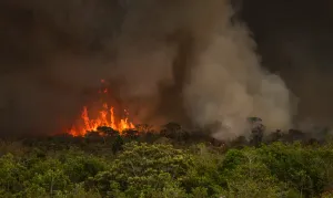 Incêndios podem ter afetado mais de 11 milhões de pessoas no Brasil