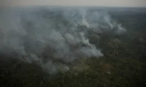 AGU cobra R$ 89 milhões de acusados de causar queimadas na Amazônia