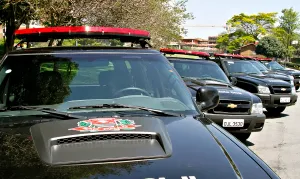 Operação policial prende suspeitos de pedofilia e estupros virtuais