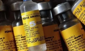 Saúde confirma casos de febre amarela em macacos em Ribeirão Preto