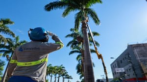 Avenida Jerônimo Gonçalves e Praça Schmidt passam por revitalização