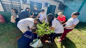 Projeto Verdejamento nas escolas leva educação ambiental para os alunos
