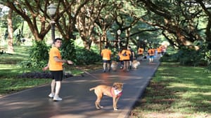 1ª Cãorrida e Cãominhada reuniu famílias e fez sucesso em Ribeirão Preto