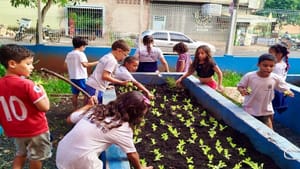 Horta escolar incentiva alimentação saudável e sustentabilidade entre alunos da rede municipal