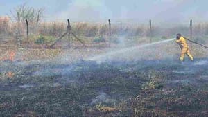 Período de estiagem: Defesa Civil realiza treinamento preparatório em 6 de maio