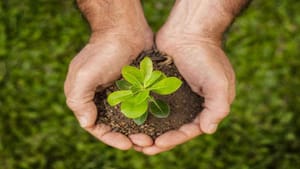 Instituto Nova Era de Desenvolvimento Socioambiental abre Processo Seletivo Simplificado para contratação temporária em Santa Rosa de Viterbo