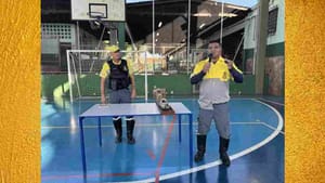 Jaboticabal dá início à programação da campanha Maio Amarelo