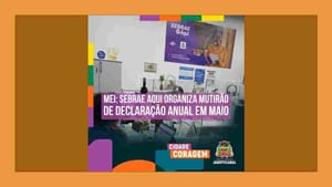 MEI: Sebrae Aqui organiza mutirão de declaração anual em maio