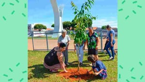 Meio Ambiente de Franca realiza o plantio de mais de 31 mil árvores