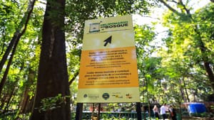 Meliponário do Bosque Zoológico Dr. Fábio Barreto é reinaugurado no Dia Mundial das Abelhas