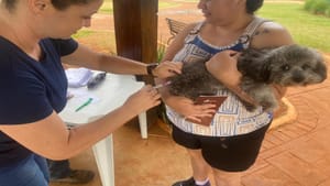 Moradores da Vila Áurea, em Sertãozinho poderão vacinar seus pets gratuitamente contra a raiva, neste sábado, 24