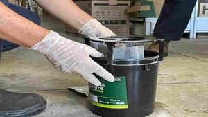 Ribeirão Preto inicia instalação de armadilhas contra a dengue