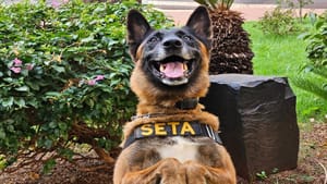 Sertãozinho realiza ações de conscientização sobre o trânsito