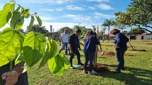 Alunos da rede municipal participam do plantio de 100 mudas de árvores nativas em praça de Ribeirão