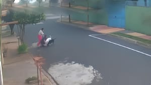 Cão de 15 anos morre após ataque de dois cães no Jardim Procópio, em Ribeirão Preto