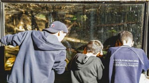 Cerimônia de encerramento da Semana do Meio Ambiente em Ribeirão Preto