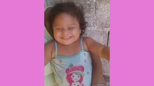 Criança morre em Jardinópolis e polícia investiga caso como suspeito