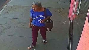 Idosa de Ribeirão Preto está desaparecida; família faz apelo por informações