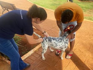 Sertãozinho promove vacinação gratuita contra raiva neste sábado