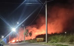 Incêndio em área de mata próximo à Pedreira Mattaraia mobiliza Defesa Civil em São Joaquim da Barra