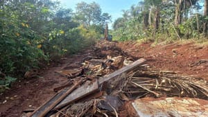 Prefeitura de Ribeirão retira 200 toneladas de lixo da Estrada do Rosário