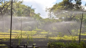 Semana do Meio Ambiente começou em Franca