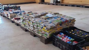 Show de Ludmilla e Festival Planeta Urbano arrecadam alimentos para o Fundo Social