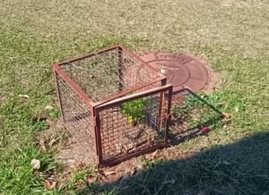 Furto deixa Cristo Redentor de Santa Rosa de Viterbo sem iluminação noturna