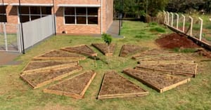 Oficina sobre fitoterapia indígena será realizada no campus da USP em Ribeirão Preto neste domingo