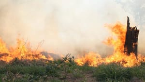 Ribeirão Preto emite alerta de estiagem e proíbe queimadas até setembro