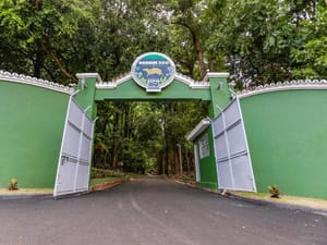 Bosque Zoológico de Ribeirão Preto realiza atividades gratuitas em homenagem ao Dia da Ciência