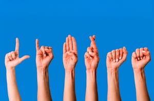 Câmara de Ribeirão Preto enfrenta impasse em licitação para tradução em Libras e segue com obras no plenário