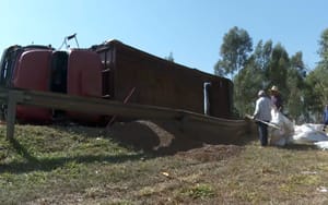 Caminhão carregado com ração tomba em trevo de Patrocínio Paulista e deixa motorista ferido