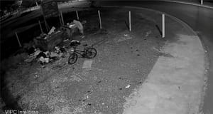 Crime ambiental em Sertãozinho