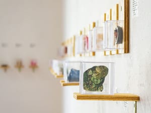 Exposição 'AR: Acervo Rotativo' estreia em Ribeirão Preto com show e obras de 400 artistas