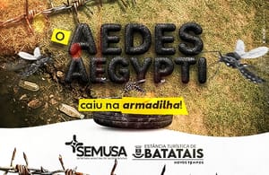 Menos mosquitos, mais saúde: como o uso de armadilhas em Batatais impediu 19 mil casos de dengue