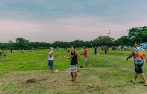 Prefeitura de Ribeirão Preto institui pipódromo municipal sem infraestrutura prevista inicialmente