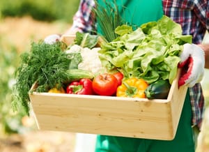 Palestras sobre agricultura e meio ambiente agendadas para produtores rurais em Santa Rosa de Viterbo