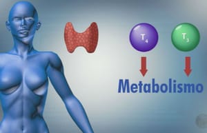 Pesquisa da USP aponta deficiência e excesso de iodo em gestantes atendidas pelo SUS em Ribeirão Preto