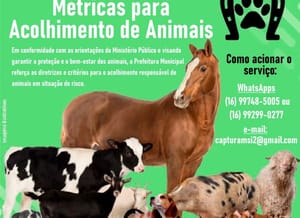 Prefeitura de Santa Rosa de Viterbo reforça normas para acolhimento e proteção de animais em situação de risco
