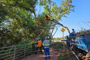 Prefeitura intensifica zeladoria em avenidas das regiões Sul e Norte de Ribeirão Preto